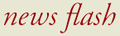 News Flash Logo