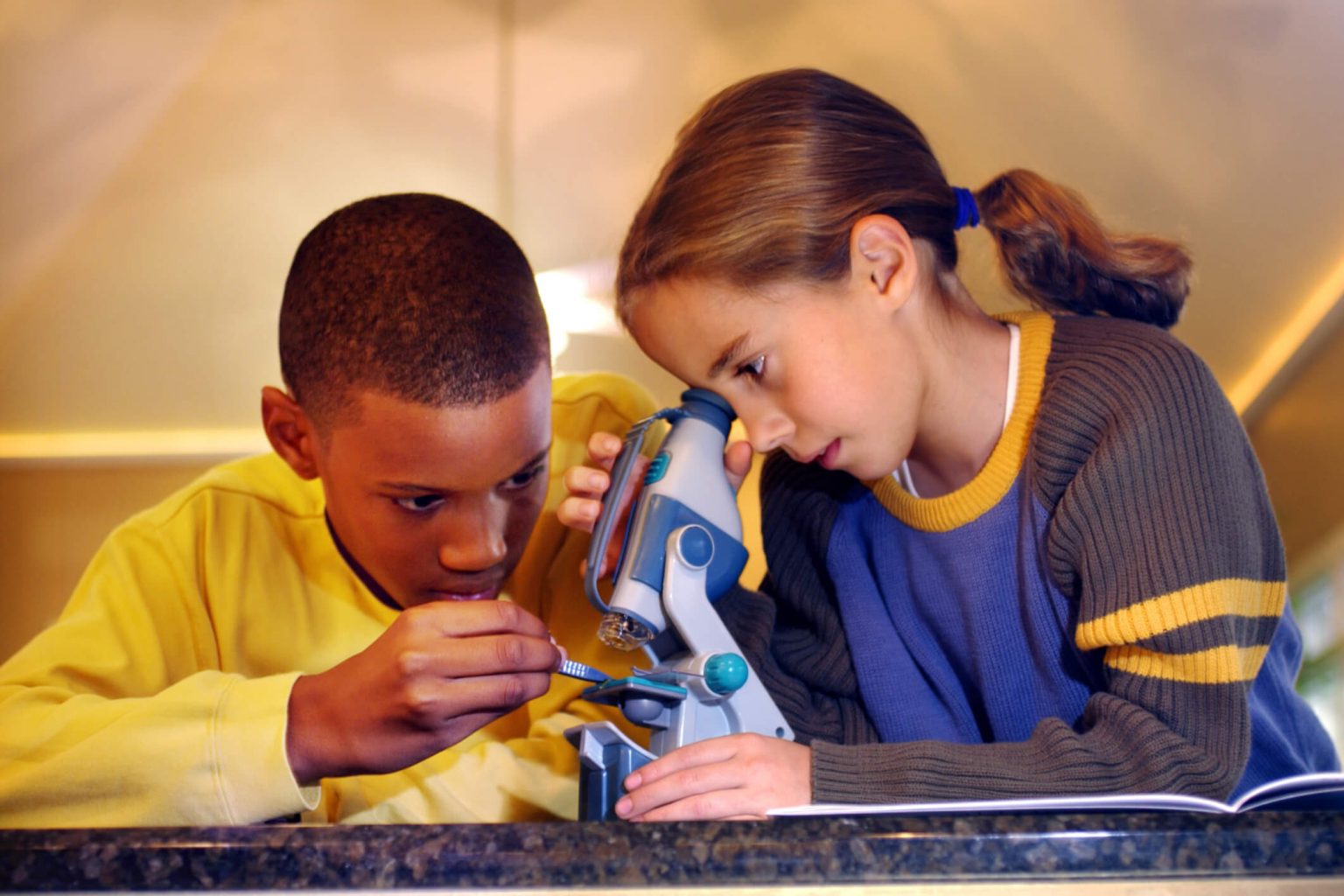 CAL SIOP for Trainers: Intermediate Institute - Center for Applied ...